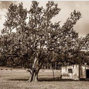 Riaan Jacobs se foto “met ‘n storie”